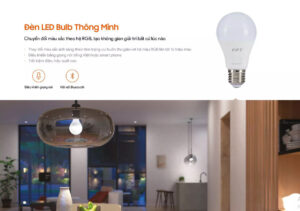boi canh den bulb