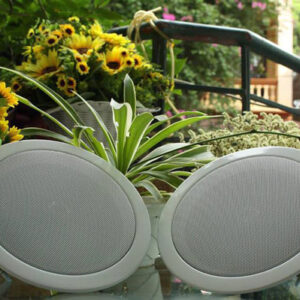 loa am tran dong truc db ts 303 min