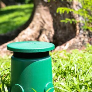 loa san vuon 01 min e1650965007401